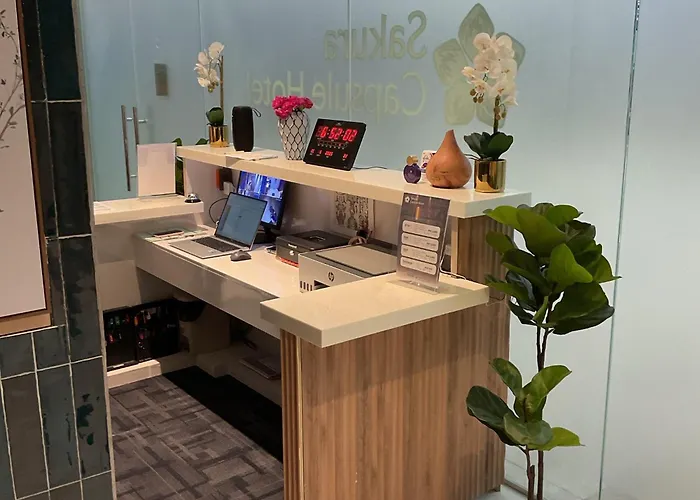 Sakura Capsule Cebu * Lapu-Lapu City